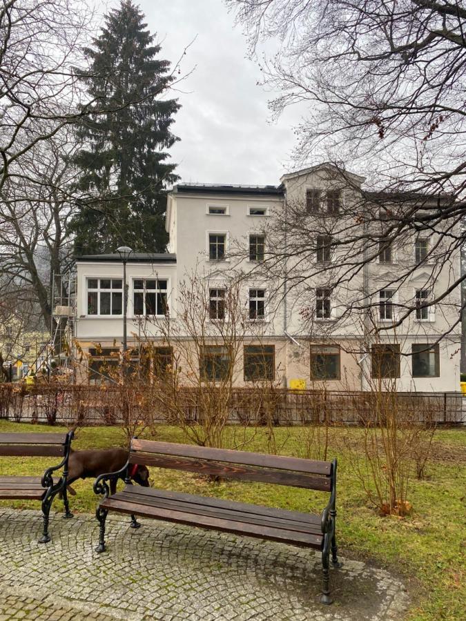 Lądek-Zdrój Cienista 7 Apartments מראה חיצוני תמונה